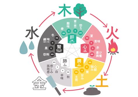 火日金水|東洋医学の五行「木火土金水」って何だろう